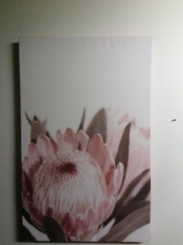 CANVAS WALL HANGING