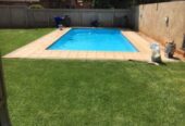new swimming pool and renovation