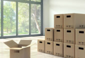 Household furniture removal services