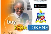 Buy ZESA token at the beginning of the month